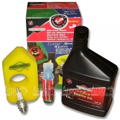 Набор для техобслуживания двигателей Briggs&Stratton Classic, Sprint 992049 в Красноярске