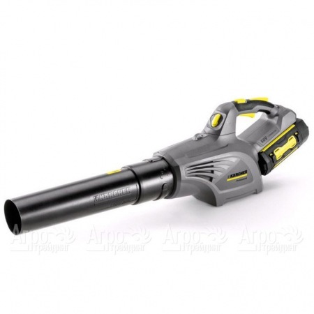 Воздуходувка аккумуляторная Karcher LB 850 Bp в Красноярске