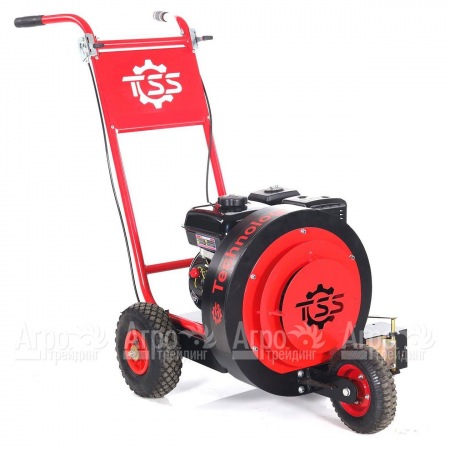 Воздуходувка бензиновая TOSS Storm Loncin G270F  в Красноярске