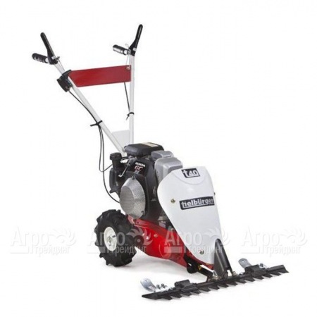 Бензиновая сенокосилка Tielburger T40 с двигателем Briggs&#38;Stratton в Красноярске