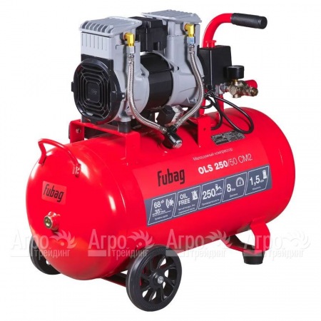 Компрессор безмасляный малошумный Fubag OLS 250/50 CM2 в Красноярске