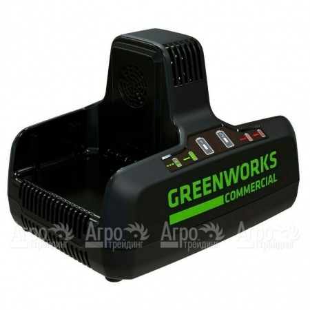 Быстрое зарядное устройство GreenWorks G82C2  в Красноярске