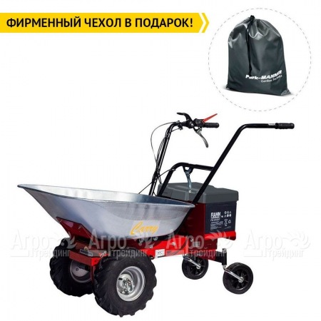 Самоходная тележка Eurosystems Carry Electric 300W-24V в Красноярске