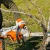 Аккумуляторная пила Stihl MSA 220 C-BQ-14" (без аккумулятора и зарядного устройства) в Красноярске