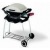 Газовый гриль Weber® Q™ в Красноярске